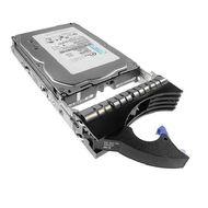 Жесткий диск IBM 73 GB 15K RPM SAS DISK DRIVE [10N7230]