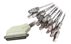 Кабель Cisco Category 5 Telco (RJ-21X) cable, Male-180 to Male-120, 5 ft [CAB-5-M180M120-5A=]