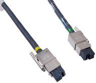 Кабель Cisco Catalyst Stack Power Cable 150 CM Spare [CAB-SPWR-150CM=]