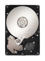 Жесткий диск HP 3.5 inch Disk drive 4TB/7.2kmin-1 [HITX5552784-A]