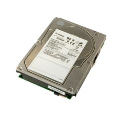Жесткий диск SEAGATE CHEETAH NS.2 300GB LFF 10K 4G 40PIN DP FIBRE CHANNEL [ST3300602FC]